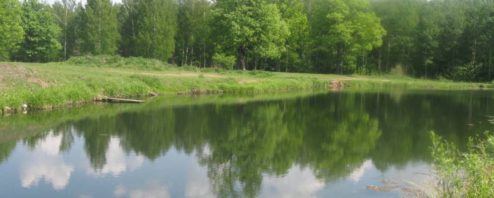 
            Фотография Пинеров