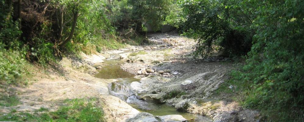 
            Фотография Пьятра-Нямца