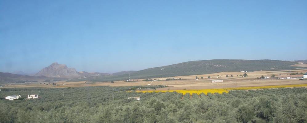 
            Фотография Лора-де-Эстепа