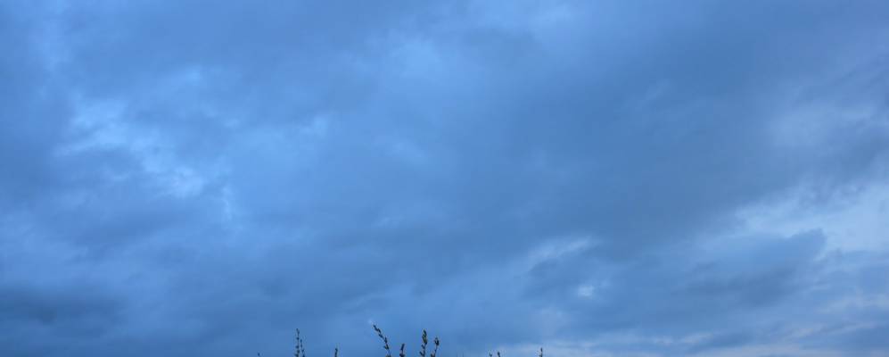 
            Фотография Равенство