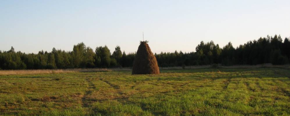 
            Фотография Жерновки