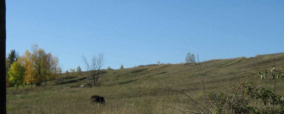 
            Фотография Овражной