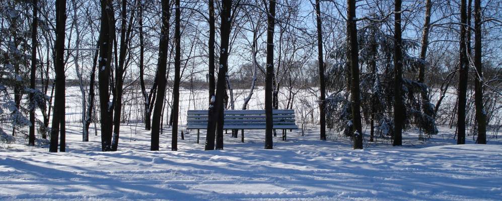 
            Фотография Шняковки