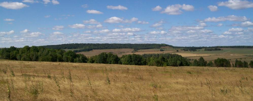 
            Фотография Малого Ряся