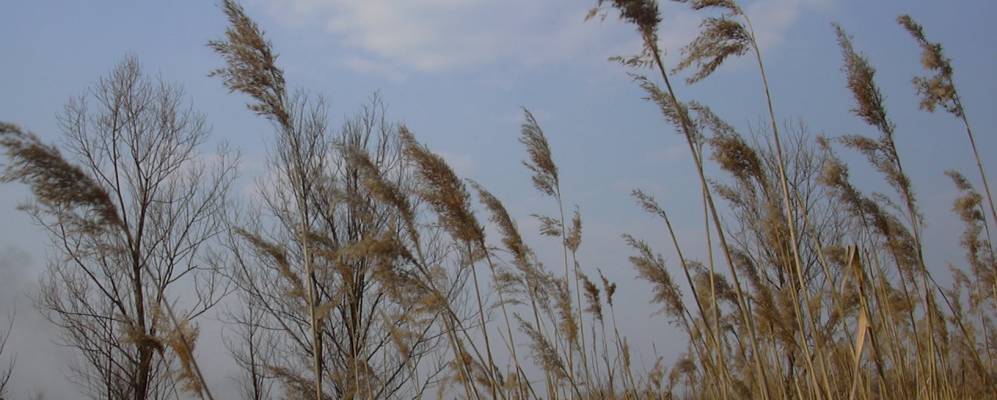 
            Фотография поселка Пруды