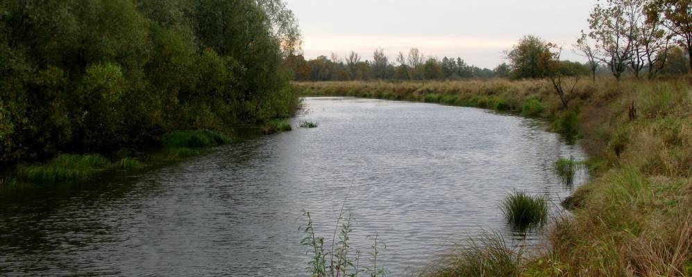 Фотография деревни Мицуры