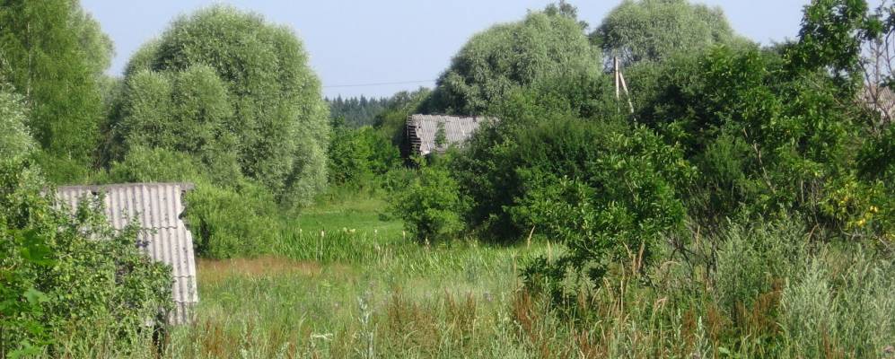 
            Фотография деревни Милты