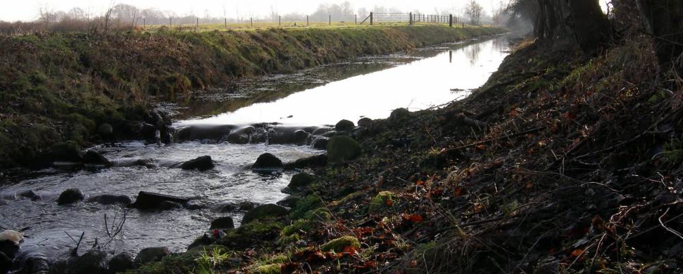 
            Фотография Худе