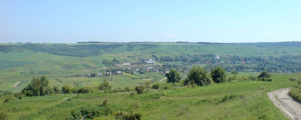 
            Фотография Болотни