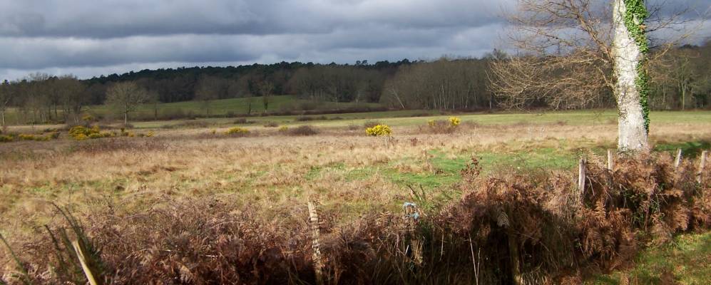 Фотография Минзак