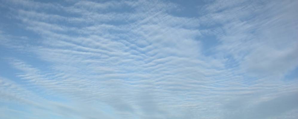 
            Фотография Красноселовки