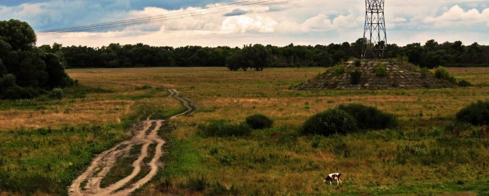 
            Фотография Копанища