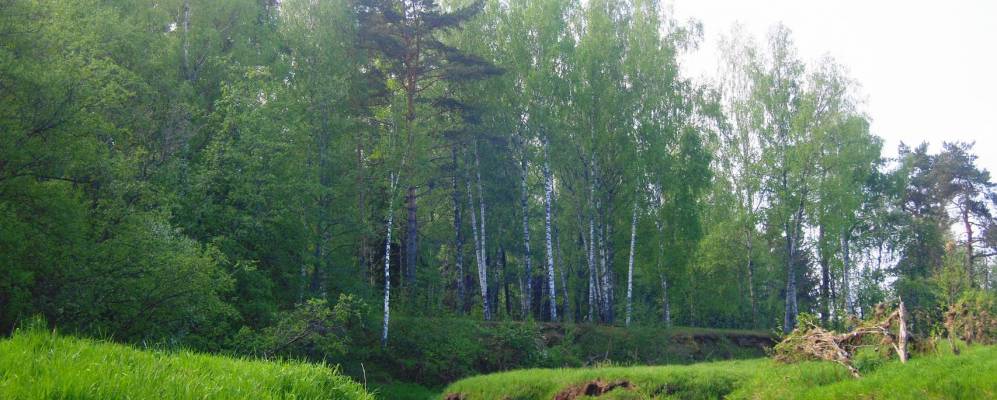 
            Фотография деревни Селищи