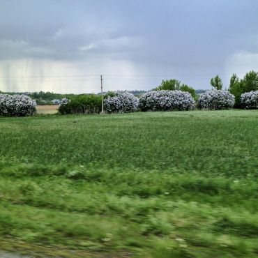 Дар-Надежда