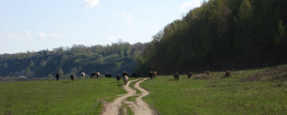 
            Фотография Горбаново