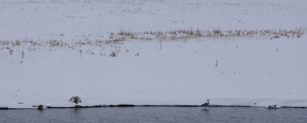 Фотография Голенищево
