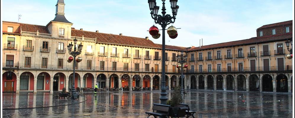 
            Фотография Леона