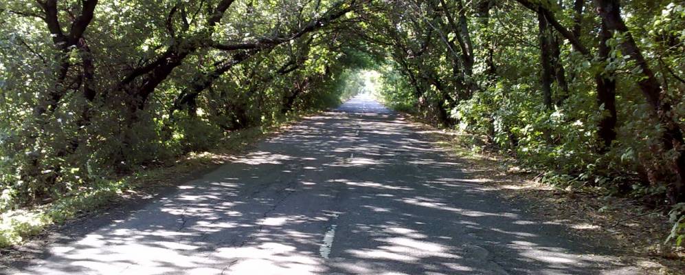 
            Фотография Подпольного