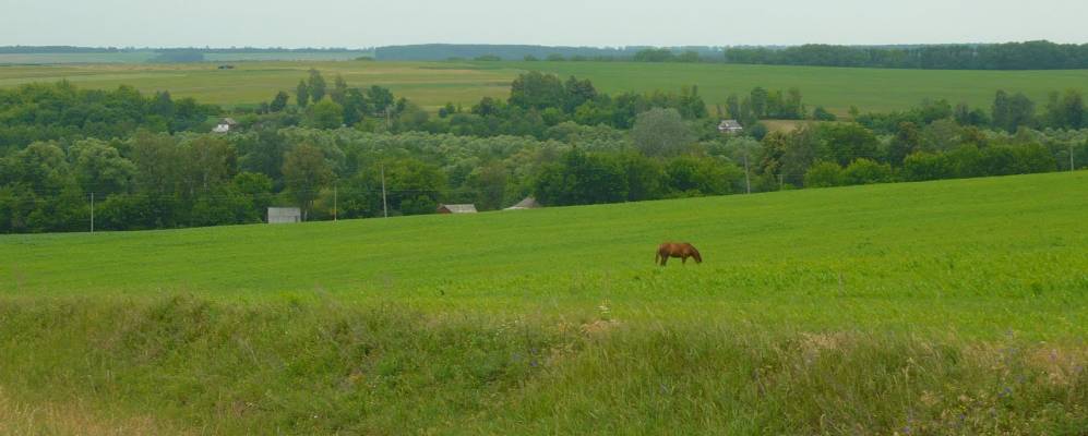 
            Фотография Шаповалово