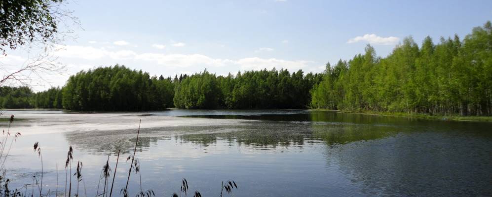 
            Фотография Хребтово