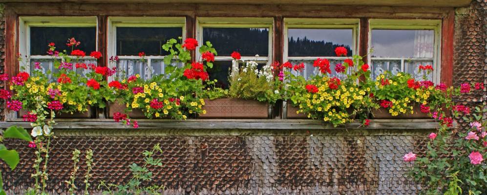 
            Фотография Алт Санкт Йохан