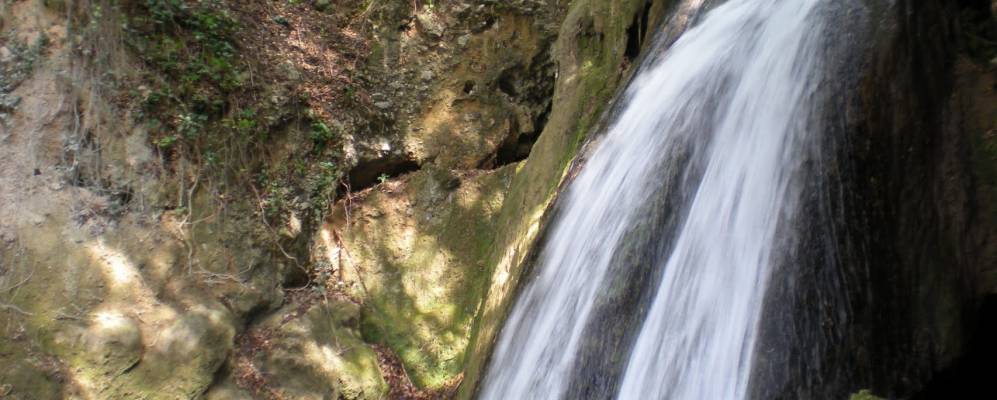 
            Фотография Пале