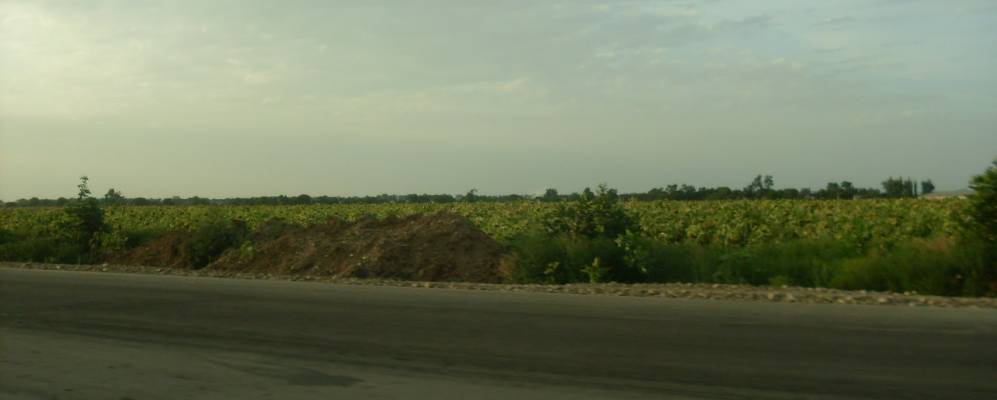 
            Фотография Комсомольского