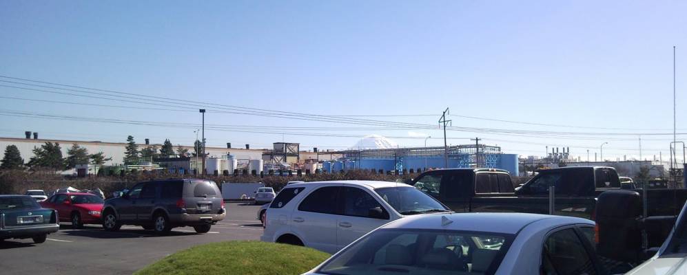 
            Фотография Алгоны