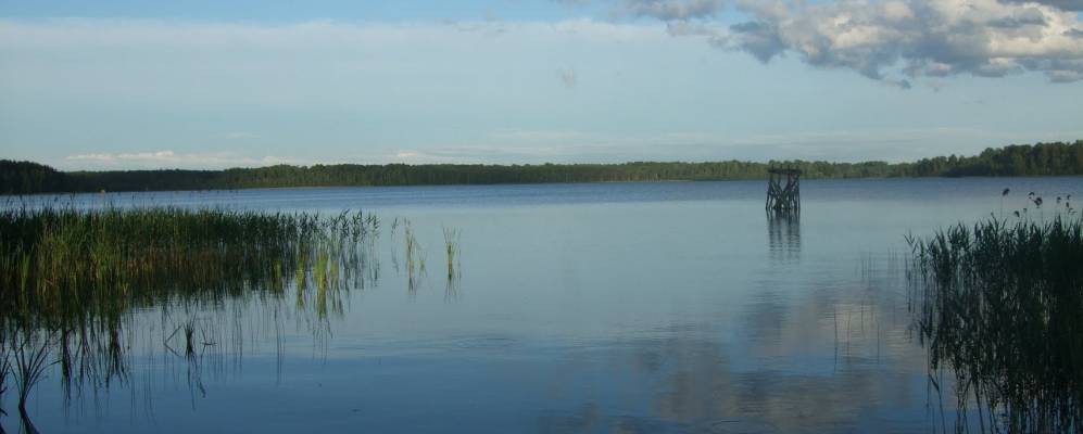 Фотография Люмжевo