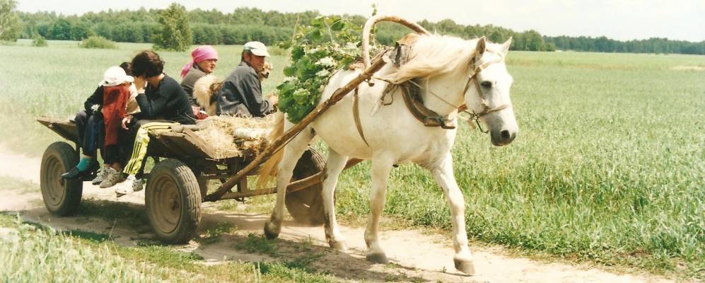 Фотография поселка Димамерки