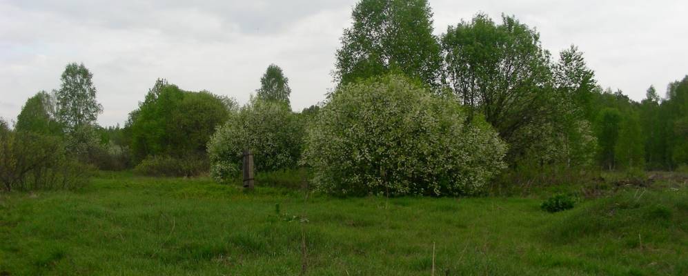 
            Фотография Мещерского