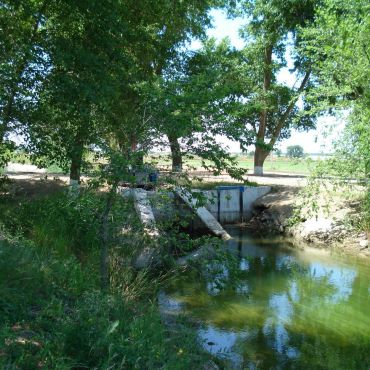 Старокузнецовский