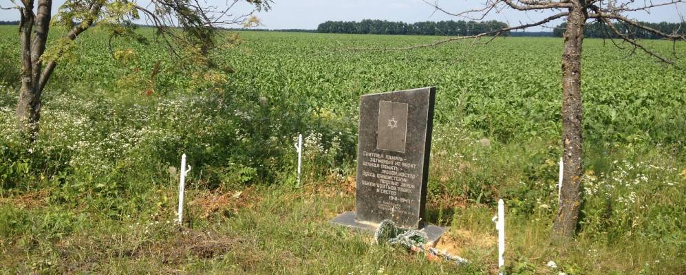 
            Фотография Бортники