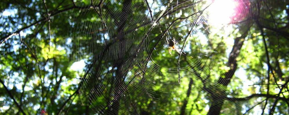 Фотография Тамары