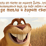 Фото пользователя 