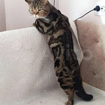 Фото пользователя 