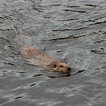 Фото пользователя yulya62