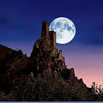 Фото пользователя 