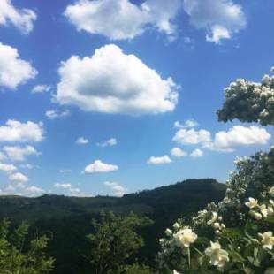 Фотографии базы отдыха
Pizzicalaluna