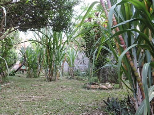 Фотографии хостела
Conexão Hostel