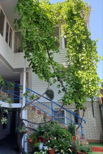 Фотография гостевого дома У Валерия Александровича