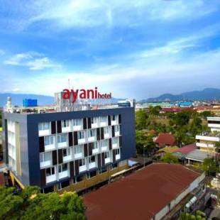Фотографии гостиницы 
            Ayani Hotel Banda Aceh