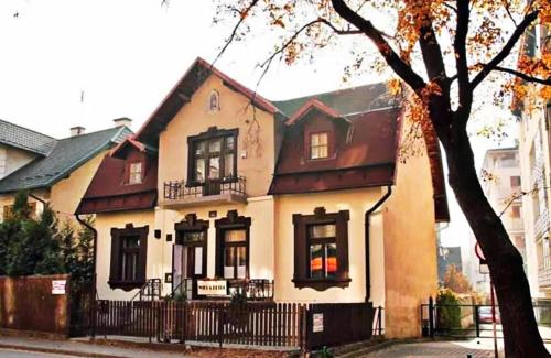 Фотография хостела Willa Retro - Art hostel