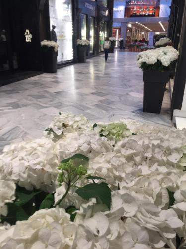 Фотография мини отеля B&B Galleria Cavour