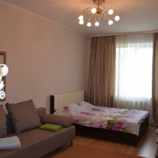 Фотографии квартиры 
            Апартаменты на шоссе Космонавтов 118