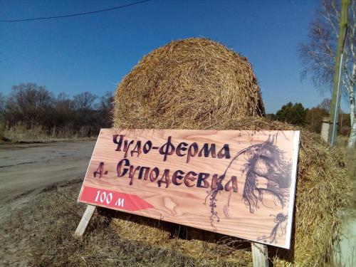 Фотография базы отдыха Чудо-Ферма