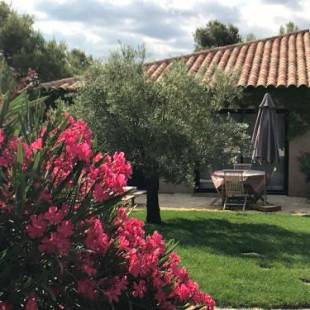 Фотографии мини отеля
Mer et Provence