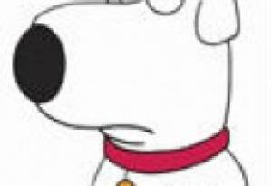 Фотография достопримечательности сад в котором город