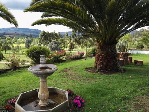 Фотография гостевого дома Cabaña NIDO VERDE