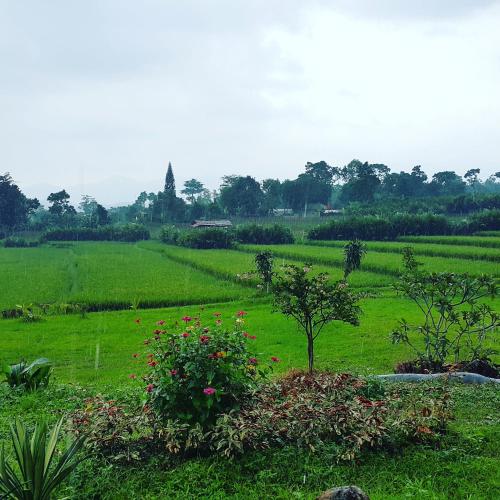 Фотография гостиницы Degung Hillside